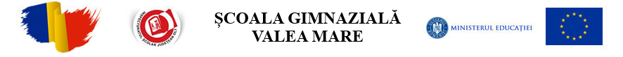 Școala Gimnazială Valea Mare